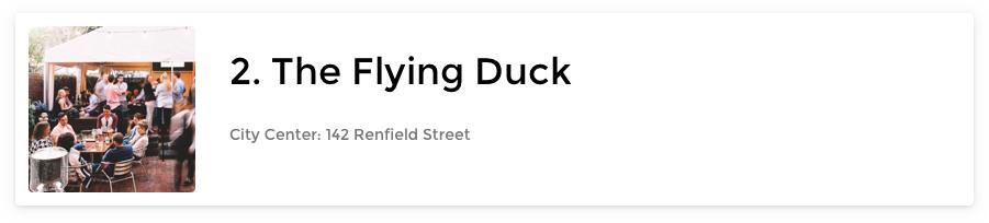 The Flying Duck